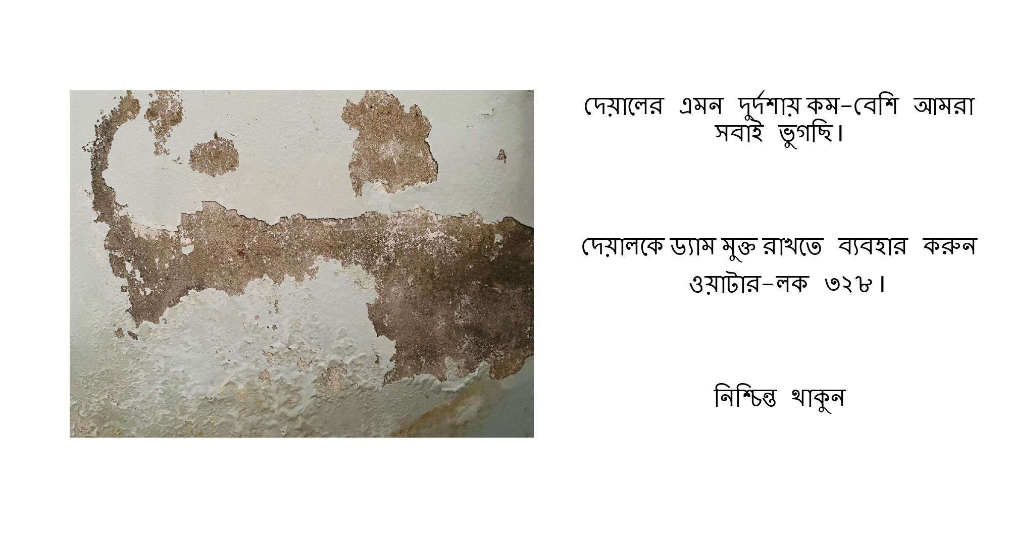 440938803_409977171997233_5281160722772538342_n